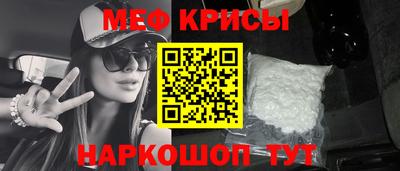 стафф Гатчина