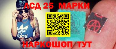 стафф Гатчина