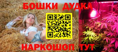 MESCALINE Гай