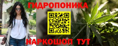 стафф Гатчина