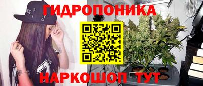 герыч Гагарин