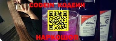 стафф Гатчина