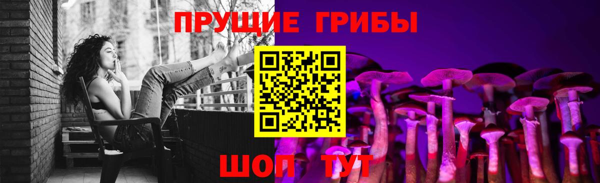Псилоцибиновые грибы мицелий  Вход с VPN  Городец 